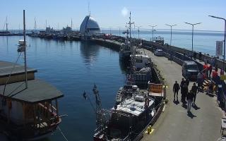 Hel Bulwar - port - 01-05-2026 12:30