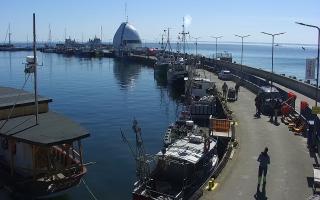 Hel Bulwar - port - 01-05-2026 13:00