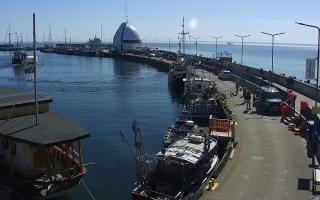 Hel Bulwar - port - 01-05-2026 13:17