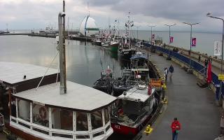 Hel Bulwar - port - 20-07-2026 15:40
