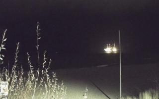 Władysławowo - plaża - 13-12-2025 20:49