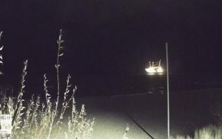 Władysławowo - plaża - 13-12-2025 21:20