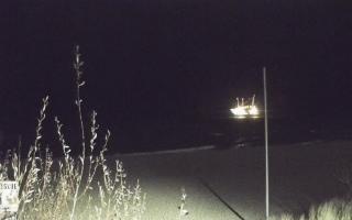 Władysławowo - plaża - 13-12-2025 21:43