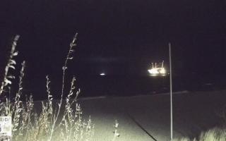 Władysławowo - plaża - 13-12-2025 22:30