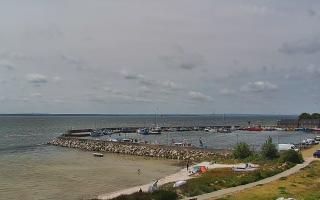 Kuźnica Półwysep Helski -port - 17-06-2025 10:45