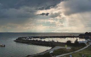 Kuźnica Półwysep Helski -port - 02-08-2025 15:22