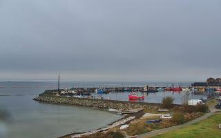 Kuźnica Półwysep Helski -port - 02-11-2025 08:01