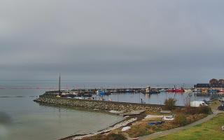 Kuźnica Półwysep Helski -port - 02-11-2025 08:09