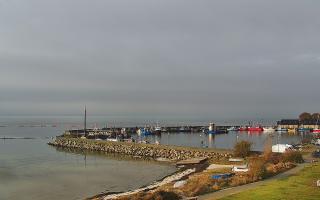 Kuźnica Półwysep Helski -port - 02-11-2025 08:24