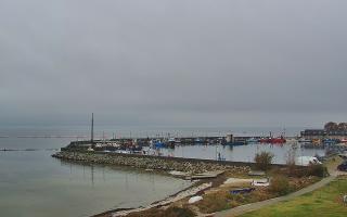 Kuźnica Półwysep Helski -port - 02-11-2025 08:39