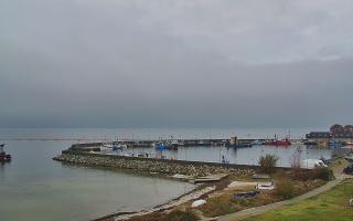 Kuźnica Półwysep Helski -port - 02-11-2025 09:25