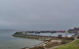 Kuźnica Półwysep Helski -port - 02-11-2025 09:47