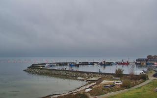 Kuźnica Półwysep Helski -port - 02-11-2025 09:55