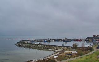 Kuźnica Półwysep Helski -port - 02-11-2025 10:03