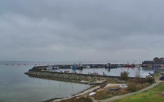 Kuźnica Półwysep Helski -port - 02-11-2025 10:10