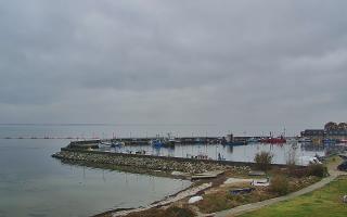 Kuźnica Półwysep Helski -port - 02-11-2025 10:40