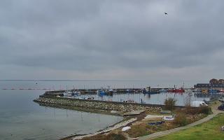 Kuźnica Półwysep Helski -port - 02-11-2025 10:48