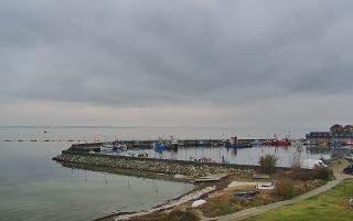 Kuźnica Półwysep Helski -port - 02-11-2025 10:56