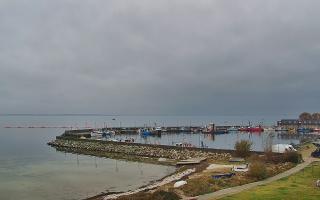 Kuźnica Półwysep Helski -port - 02-11-2025 11:18