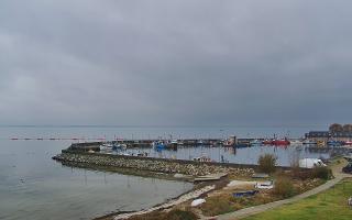 Kuźnica Półwysep Helski -port - 02-11-2025 11:26