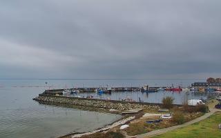 Kuźnica Półwysep Helski -port - 02-11-2025 11:41