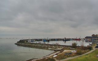 Kuźnica Półwysep Helski -port - 02-11-2025 11:56