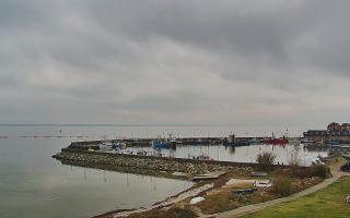 Kuźnica Półwysep Helski -port - 02-11-2025 12:04