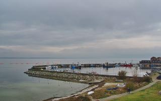 Kuźnica Półwysep Helski -port - 02-11-2025 12:19