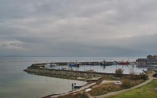 Kuźnica Półwysep Helski -port - 02-11-2025 12:34