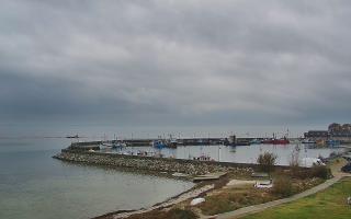 Kuźnica Półwysep Helski -port - 02-11-2025 12:57