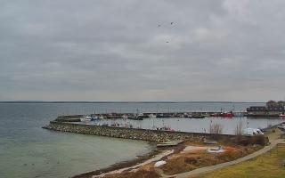 Kuźnica Półwysep Helski -port - 13-12-2025 07:56