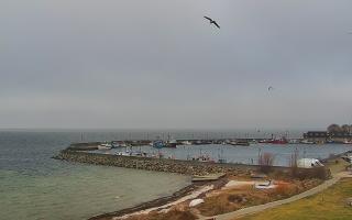 Kuźnica Półwysep Helski -port - 18-12-2025 08:57