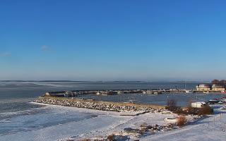 Kuźnica Półwysep Helski -port - 02-02-2026 08:26
