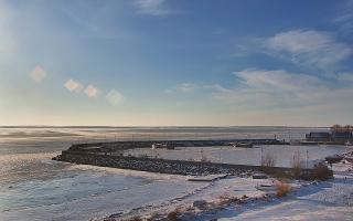 Kuźnica Półwysep Helski -port - 02-02-2026 13:45