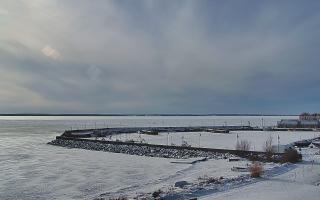 Kuźnica Półwysep Helski -port - 16-02-2026 13:02