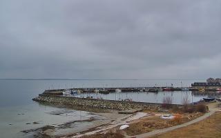 Kuźnica Półwysep Helski -port - 17-03-2026 09:16