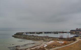 Kuźnica Półwysep Helski -port - 17-03-2026 09:46