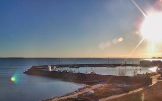 Kuźnica Półwysep Helski -port - 28-04-2026 16:59