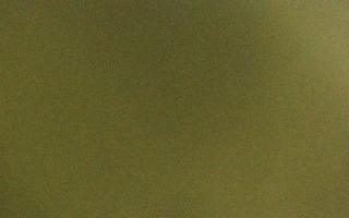 Gdańsk Brzeźno - molo - 11-07-2026 23:00