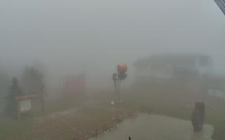 Jaworzyna Krynicka 1 - 03-11-2025 09:34