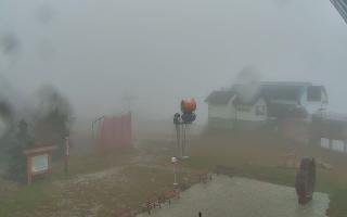 Jaworzyna Krynicka 1 - 03-11-2025 10:04