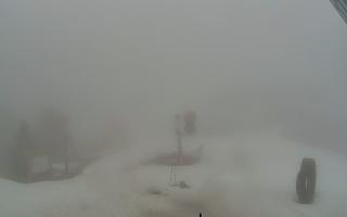 Jaworzyna Krynicka 1 - 19-12-2025 07:14