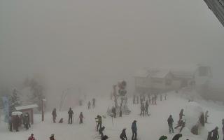 Jaworzyna Krynicka 1 - 29-01-2026 11:07