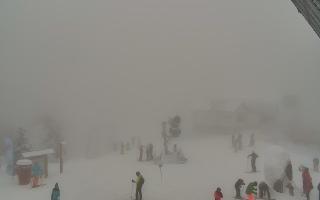 Jaworzyna Krynicka 1 - 29-01-2026 11:15