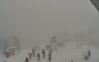 Jaworzyna Krynicka 1 - 29-01-2026 11:22