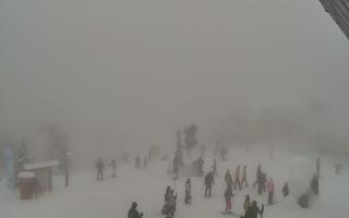 Jaworzyna Krynicka 1 - 29-01-2026 11:30