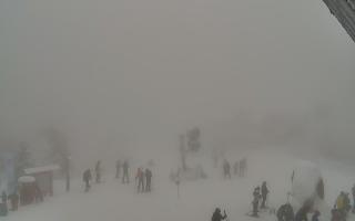 Jaworzyna Krynicka 1 - 29-01-2026 11:38