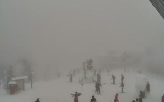 Jaworzyna Krynicka 1 - 29-01-2026 11:45