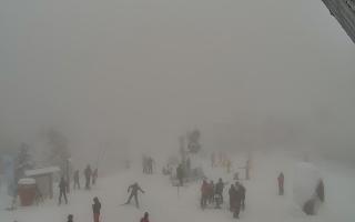 Jaworzyna Krynicka 1 - 29-01-2026 11:53