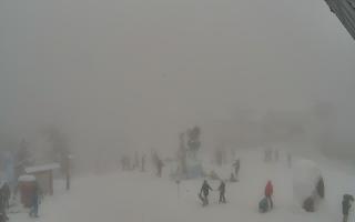 Jaworzyna Krynicka 1 - 29-01-2026 12:00